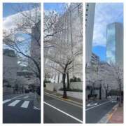 ヒメ日記 2025/04/05 11:43 投稿 きこ 奥鉄オクテツ東京店（デリヘル市場）