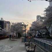 ヒメ日記 2025/04/08 09:10 投稿 きこ 奥鉄オクテツ東京店（デリヘル市場）