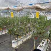 ヒメ日記 2025/05/10 09:21 投稿 きこ 奥鉄オクテツ東京店（デリヘル市場）