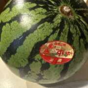 ヒメ日記 2025/08/13 09:49 投稿 きこ 奥鉄オクテツ東京店（デリヘル市場）