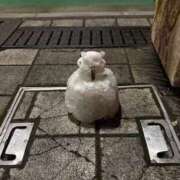 ヒメ日記 2026/01/02 22:55 投稿 きこ 奥鉄オクテツ東京店（デリヘル市場）