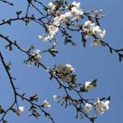 きこ きこ通信 奥鉄オクテツ東京店（デリヘル市場）