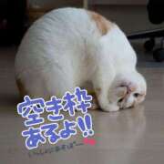 ヒメ日記 2025/01/08 19:16 投稿 朝比奈　京子 プルプル人妻専門店