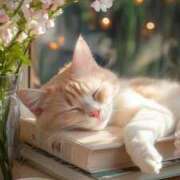 ヒメ日記 2025/03/13 15:05 投稿 朝比奈　京子 プルプル人妻専門店