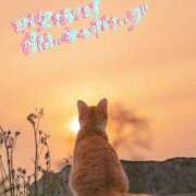 ヒメ日記 2025/04/02 21:39 投稿 朝比奈　京子 プルプル人妻専門店