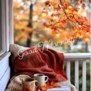 ヒメ日記 2025/12/03 09:41 投稿 朝比奈　京子 プルプル人妻専門店