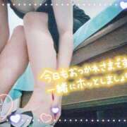 朝比奈　京子 続投‼️🤣 プルプル人妻専門店