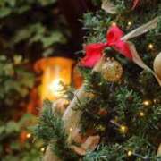 ヒメ日記 2024/12/13 12:18 投稿 せりーぬ【伝説の再来】 ポニーテール和歌山店