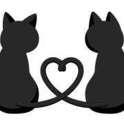 ヒメ日記 2025/03/05 18:26 投稿 せりーぬ【伝説の再来】 ポニーテール和歌山店