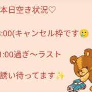ヒメ日記 2025/03/15 16:38 投稿 せりーぬ【伝説の再来】 ポニーテール和歌山店