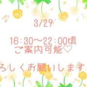 ヒメ日記 2025/03/29 13:02 投稿 せりーぬ【伝説の再来】 ポニーテール和歌山店