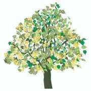 ヒメ日記 2025/06/29 10:52 投稿 せりーぬ【伝説の再来】 ポニーテール和歌山店