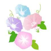 ヒメ日記 2025/07/19 22:52 投稿 せりーぬ【伝説の再来】 ポニーテール和歌山店