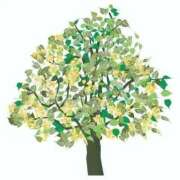 ヒメ日記 2025/09/06 07:32 投稿 せりーぬ【伝説の再来】 ポニーテール和歌山店