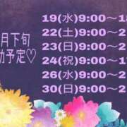 ヒメ日記 2025/11/18 00:12 投稿 せりーぬ【伝説の再来】 ポニーテール和歌山店