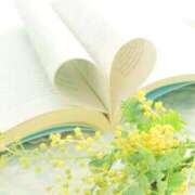 ヒメ日記 2025/12/08 08:22 投稿 せりーぬ【伝説の再来】 ポニーテール和歌山店