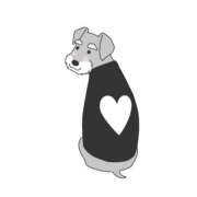 ヒメ日記 2026/01/11 08:48 投稿 せりーぬ【伝説の再来】 ポニーテール和歌山店