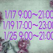 ヒメ日記 2026/01/15 12:02 投稿 せりーぬ【伝説の再来】 ポニーテール和歌山店