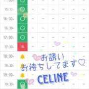 ヒメ日記 2026/05/31 12:48 投稿 せりーぬ【伝説の再来】 ポニーテール和歌山店