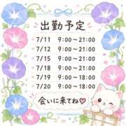ヒメ日記 2026/07/09 12:18 投稿 せりーぬ【伝説の再来】 ポニーテール和歌山店