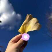 ヒメ日記 2024/12/29 12:47 投稿 いちょう 三つ乱本館