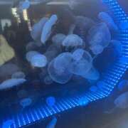 ヒメ日記 2025/02/22 11:07 投稿 いちょう 三つ乱本館