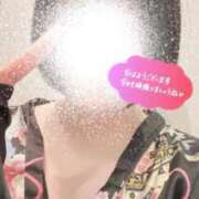 ヒメ日記 2025/02/23 08:30 投稿 いちょう 三つ乱本館