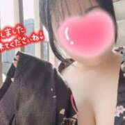 ヒメ日記 2025/03/23 10:27 投稿 いちょう 三つ乱本館