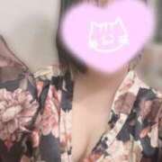 ヒメ日記 2025/04/13 07:17 投稿 いちょう 三つ乱本館