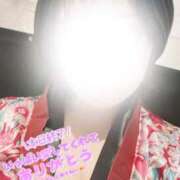 ヒメ日記 2025/04/20 11:17 投稿 いちょう 三つ乱本館