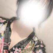 ヒメ日記 2025/04/27 09:07 投稿 いちょう 三つ乱本館