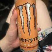 ヒメ日記 2025/04/27 12:11 投稿 いちょう 三つ乱本館