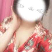 ヒメ日記 2025/07/27 06:27 投稿 いちょう 三つ乱本館