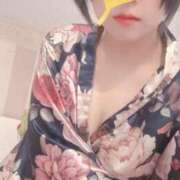 ヒメ日記 2025/08/31 07:07 投稿 いちょう 三つ乱本館