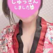 ヒメ日記 2025/09/07 06:57 投稿 いちょう 三つ乱本館