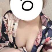 ヒメ日記 2025/11/15 07:57 投稿 いちょう 三つ乱本館