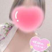 ヒメ日記 2025/12/28 06:37 投稿 いちょう 三つ乱本館