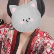 ヒメ日記 2025/12/30 10:27 投稿 いちょう 三つ乱本館