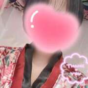 ヒメ日記 2026/01/02 14:37 投稿 いちょう 三つ乱本館