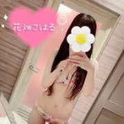 ヒメ日記 2026/08/17 23:58 投稿 花畑 こはる 30代40代50代と遊ぶなら博多人妻専科24時