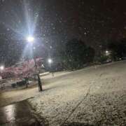 ヒメ日記 2025/03/09 16:46 投稿 あきら ママれもん葛西店