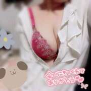 ヒメ日記 2024/12/16 18:02 投稿 けい☆ 豊橋豊川ちゃんこ