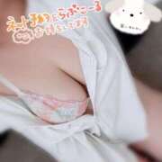 ヒメ日記 2025/03/10 11:42 投稿 けい☆ 豊橋豊川ちゃんこ