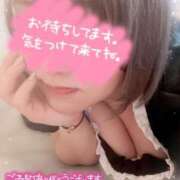 ヒメ日記 2025/04/02 14:42 投稿 けい☆ 豊橋豊川ちゃんこ