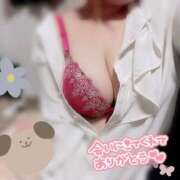 ヒメ日記 2025/10/04 14:52 投稿 けい☆ 豊橋豊川ちゃんこ