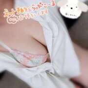 ヒメ日記 2025/11/25 14:42 投稿 けい☆ 豊橋豊川ちゃんこ