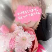 ヒメ日記 2026/03/30 11:42 投稿 けい☆ 豊橋豊川ちゃんこ