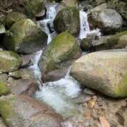 ヒメ日記 2026/02/24 13:52 投稿 きこ AVANCE福岡