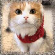 ヒメ日記 2024/12/08 23:14 投稿 ひな奥様 なすがママされるがママ川越