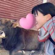 ヒメ日記 2026/01/12 17:30 投稿 さや 東京人妻セレブリティ（ユメオト）